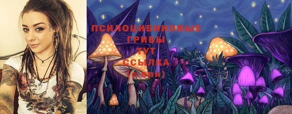 ешки Балахна